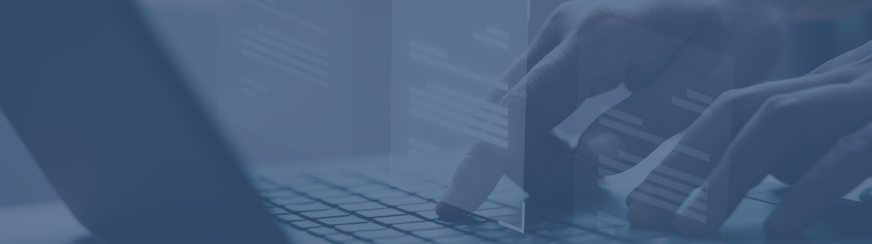 People working on laptops